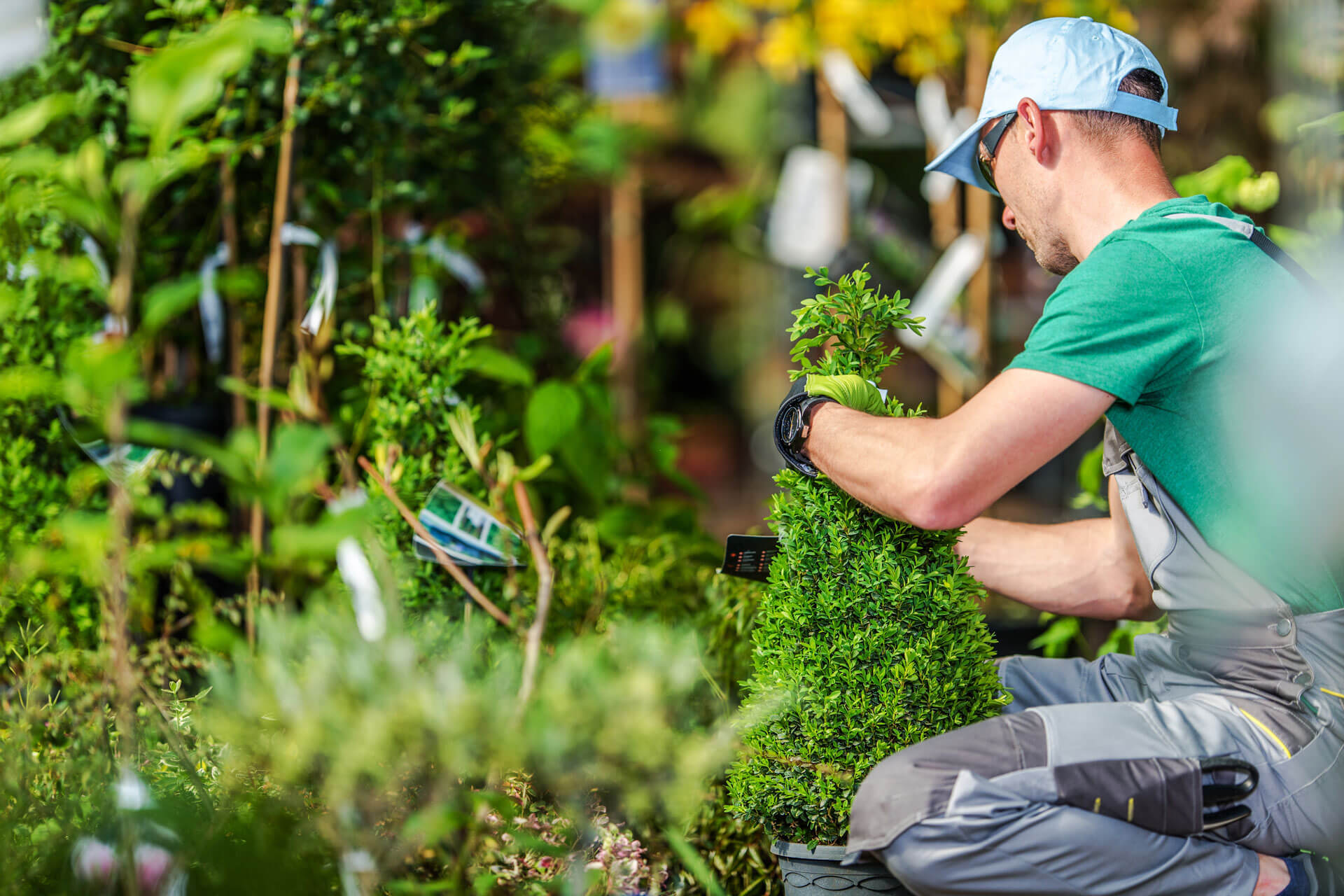 Servicios integrales de Jardineria